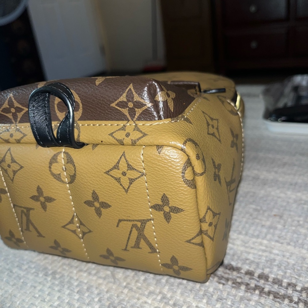 Louis Vuitton Reverse Monogram Palm Springs Mini Backpack - Picture 9 of 12